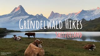 Grindelwald Switzerland  Grindelwald First  Bachalpsee 4K [upl. by Cordova]