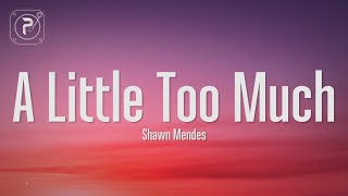 Shawn Mendes  A Little Too Much Lyrics [upl. by Ainolopa569]