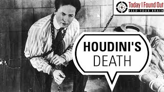 How Did Harry Houdini Actually Die [upl. by Cuhp483]