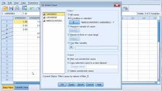 SPSS  Remove Missing Values [upl. by Adyaj]