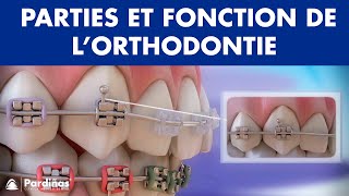 Appareil dentaire – Parties et fonction de l’orthodontie © [upl. by Halsey]