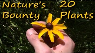 20 Edible amp Medicinal Plants In 10 Minutes [upl. by Gordie]