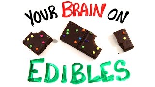 Your Brain On Edible Marijuana [upl. by Atina]