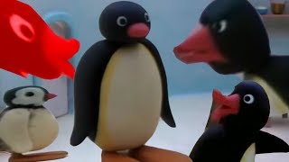 YTP Pingu Pees on the Floor [upl. by Cynthla39]