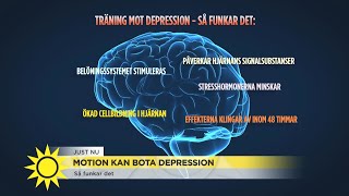 Forskning – Fysisk aktivitet kan häva depression  Nyhetsmorgon TV4 [upl. by Eelnyl]