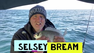 Selsey Bream [upl. by Ilbert]