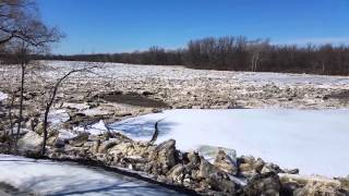 Ice jam on the Maumee River 2015 [upl. by Ludmilla287]