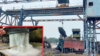 How To Manufacturing Sugar From Sugarcane In Sugar Mill With All Process 2021 [upl. by Navinod]