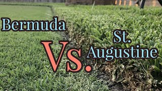 Bermudagrass vs St Augustinegrass  Warm Season Turf [upl. by Anhoj]