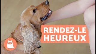 Comment rendre son chien heureux   10 conseils clés [upl. by Wiebmer]