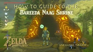 Breath of the Wild  Bareeda Naag Shrine Guide and Location [upl. by Tattan943]