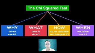 Chi Squared Test [upl. by Cath853]