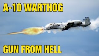 A10 Warthog  The Gun 30mm GAU8 Avenger Cannon [upl. by Airtina]