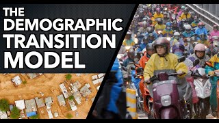 The Demographic Transition Model DTM [upl. by Mickey686]