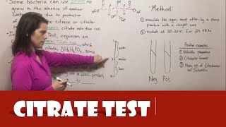 Citrate Test [upl. by Acnayb325]