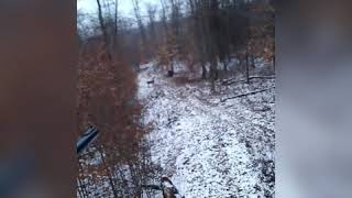 375 Winchester deer hunt [upl. by Roybn]