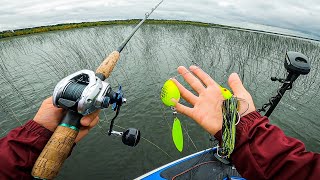 Minnesota Musky Fishing TOURNAMENT Fishing DEEP In The Reeds For Muskie [upl. by Borlow667]