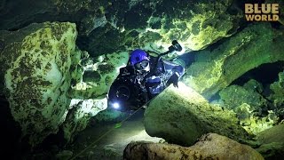 Florida Cave Diving  JONATHAN BIRDS BLUE WORLD [upl. by Esilana]