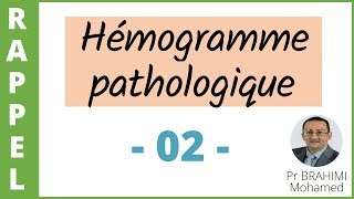 6 HEMOGRAMME PATHOLOGIQUE 2 [upl. by Annaul]