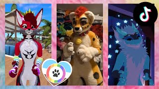 Furry TikToks Compilation 22 [upl. by Schluter]