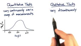 Quantitative vs Qualitative  Tales from the Genome [upl. by Ezmeralda]