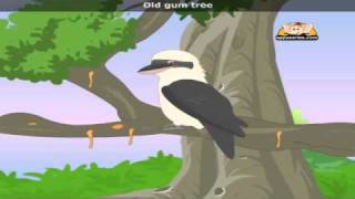 Kookaburra with Lyrics  Nursery Rhyme [upl. by Lubow]