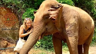 Mud Bathing With Elephants In Chiang Mais Elephant Nature Park [upl. by Lorena]