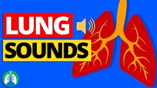 Lung Sounds Abnormal Breath Sounds and Auscultation  Respiratory Therapy Zone [upl. by Rafaelia352]