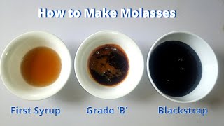 How to Make Molasses at Home  3 homemade grades of molasses [upl. by Anastice282]