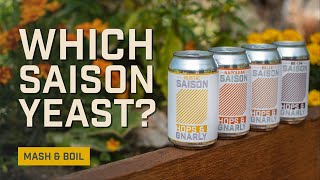 Which Saison Yeast Should I Use EP34 [upl. by Ttoile]