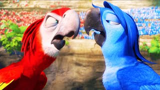 RIO 2 Clip  quotFootball Matchquot 2014 [upl. by Jilleen]