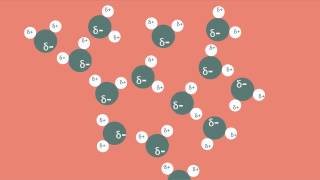 Polar Bonds and Molecules [upl. by Maguire]