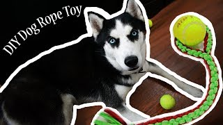 DIY Dog Rope Toy [upl. by Sirovart]