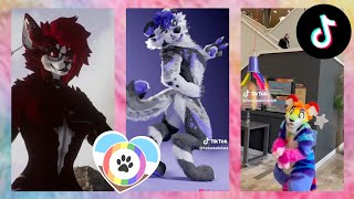 Furry TikToks Compilation 30 [upl. by Craggy358]