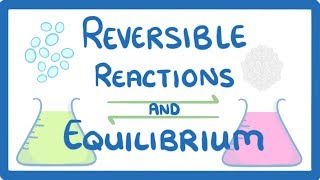 GCSE Chemistry  Reversible Reactions and Equilibrium [upl. by Pritchard798]