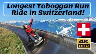 Longest Summer Toboggan Ride in Switzerland  4K Video [upl. by Ahsataj473]