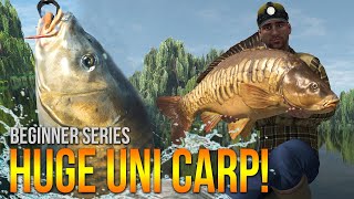 Lvl50 Weeping Willows UNIQUE Carp Method Leads amp More  Fishing Planet [upl. by Atteuqahs]