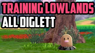 ALL Diglett Locations  Training Lowlands Sword amp Shield DLC [upl. by Nibaj840]