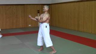 Sensei Kazuo Terauchi Sanchin kata [upl. by Harriet194]