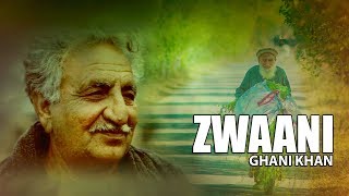 Ghani Khan Ghazal  Na Ba Tool Umar Zwaani We by Moiz Khan [upl. by Cly895]