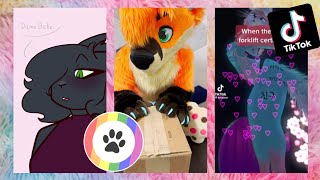 Furry TikToks Compilation 5 [upl. by Lianna]