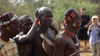 Bull Jumping Ritual  Hamar Tribe Ethiopia [upl. by Lemay]