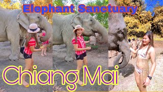 Chiang Mai Elephant Sanctuary  Thailand  2022 [upl. by Nahte523]