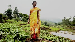 Zero Budget Natural Farming An Agricultural Revolution is Taking Shape in India [upl. by Neellok536]