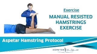 25 Minute Hamstring Flexibility Routine V2 FOLLOW ALONG [upl. by Roland]