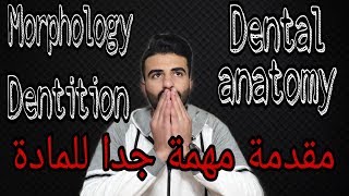 دينتال اناتومي ـ الجزء الاول  Important dental terms amp introduction of dental Anatomy [upl. by Eimmak]