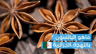 ماهو اليانسون باللهجة الجزائرية [upl. by Eilitan]