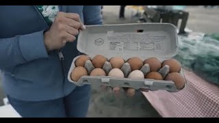 Hibbing Farmers Market [upl. by Friday665]