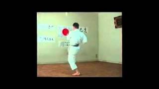 Shitoryu Karatedo Kihon Kata  Juni no Kata III [upl. by Hevak]