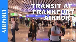 TRANSIT WALK AT FRANKFURT Airport FRA Terminal 1  Connection Flight Transfer Arriving amp Departing [upl. by Swords]